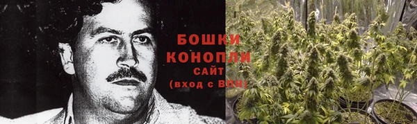 шишки Верея