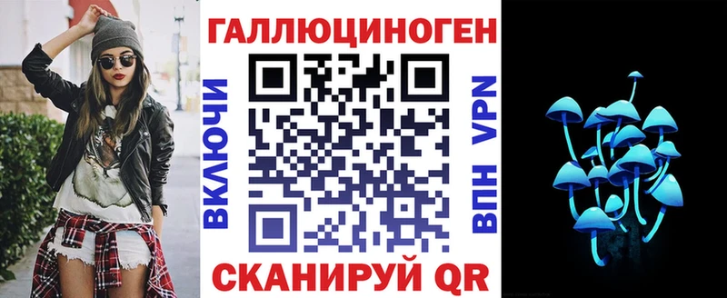 OMG зеркало Карачаевск Галлюциногенные грибы Magic Shrooms где купить наркотик