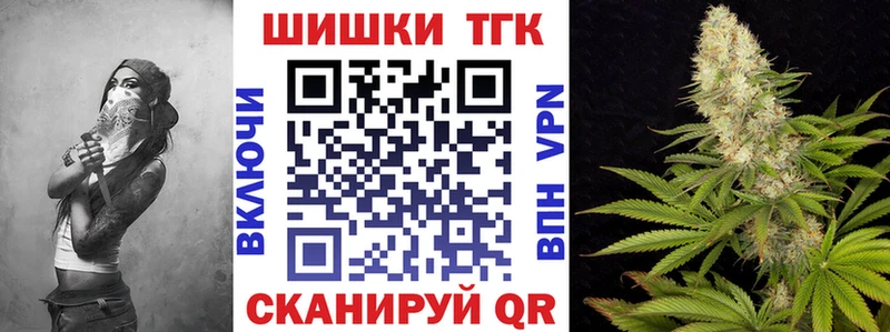 Конопля индика  где найти наркотики  Карачаевск 